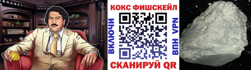 Cocaine Fish Scale  кракен вход  Лениногорск 
