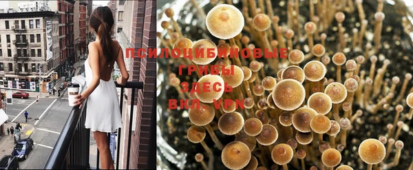 a pvp Балахна
